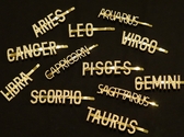 Zodiac Hairpins